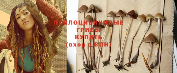 бошки Зерноград